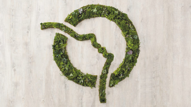 Logo vert, plantes RATP - Designed by Curius
