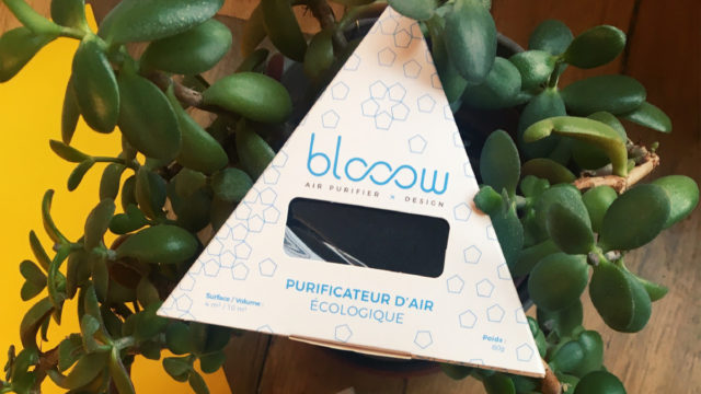 Collab Curius x Blooow
