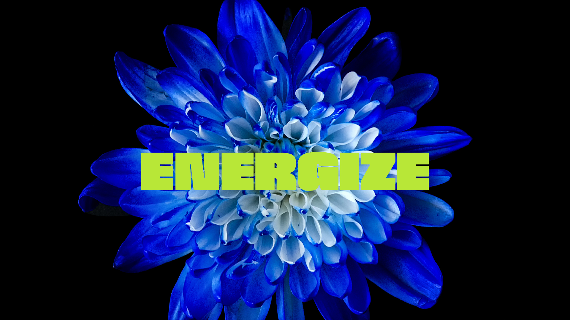Energize, Bengs - Designed by Curius