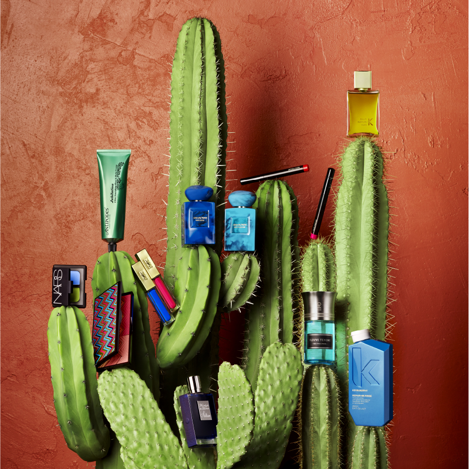 Photo Cactus 24 Sèvres - Designed by Curius
